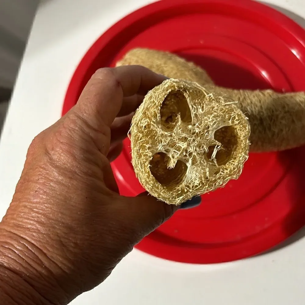 Loofah for crafting